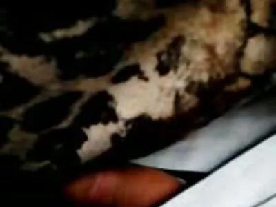 All That Wetness videó (Chanell csaladi porno videok Heart)