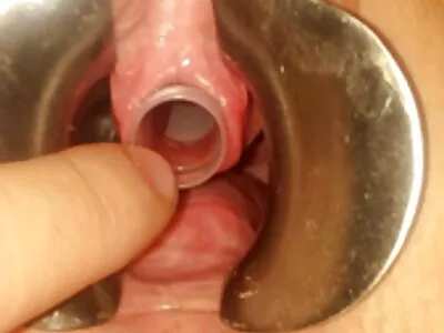Kell egy utazás videó (Vick) családi sex
